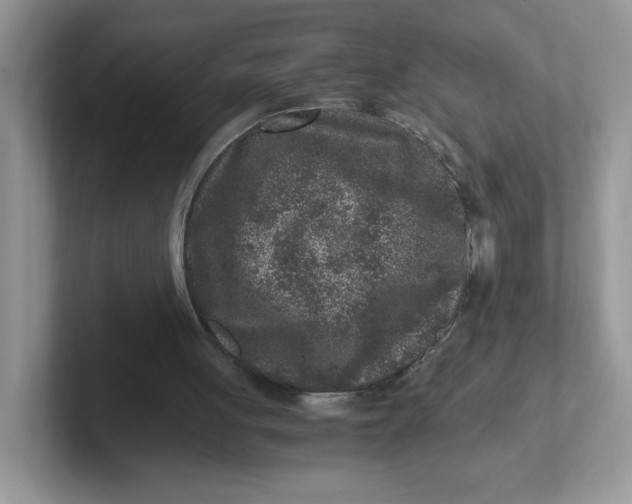 X0000101710051200807311500