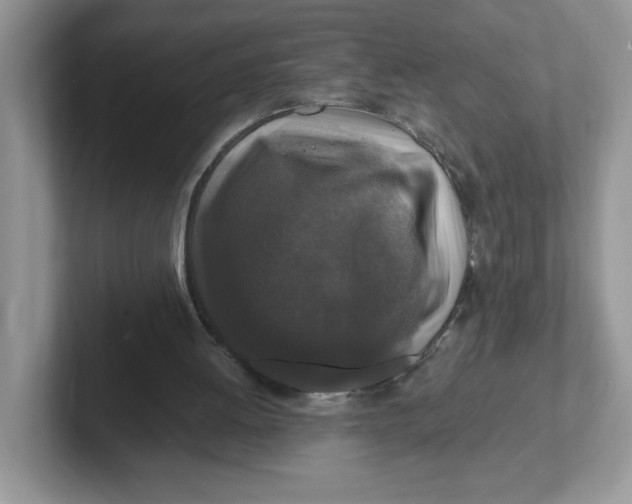 X0000101710052200807311500