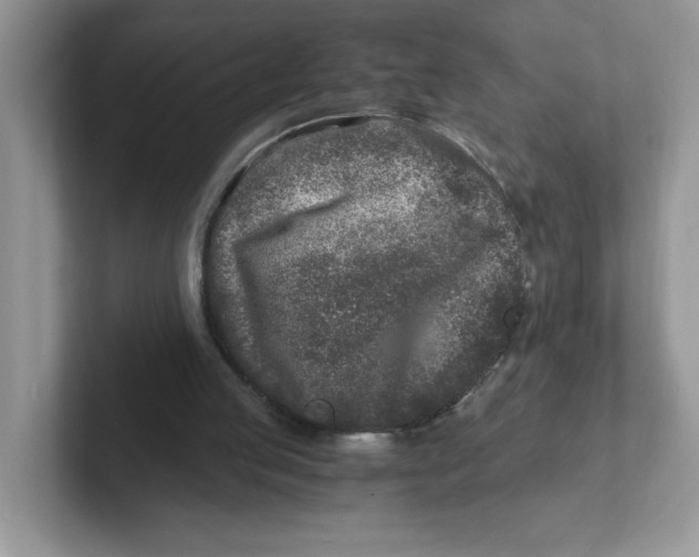 X0000101710053200807311500
