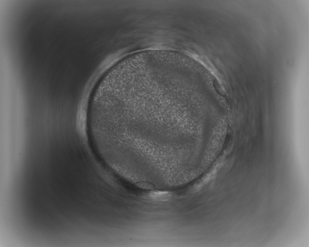 X0000101710055200807311500