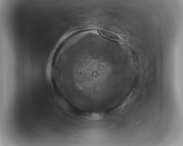 X0000101710056200807311500