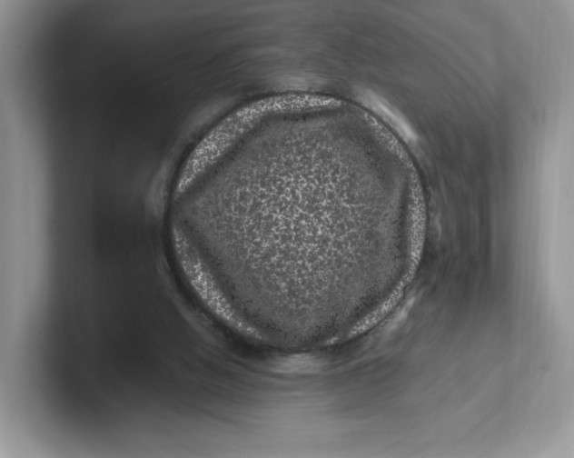 X0000101710058200807311500