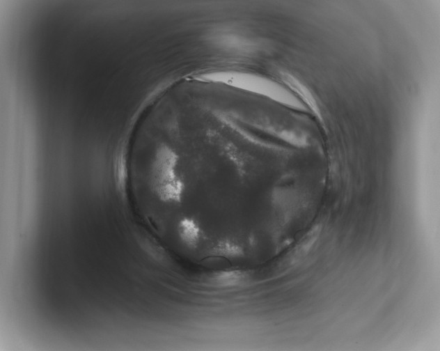 X0000101710059200807311500