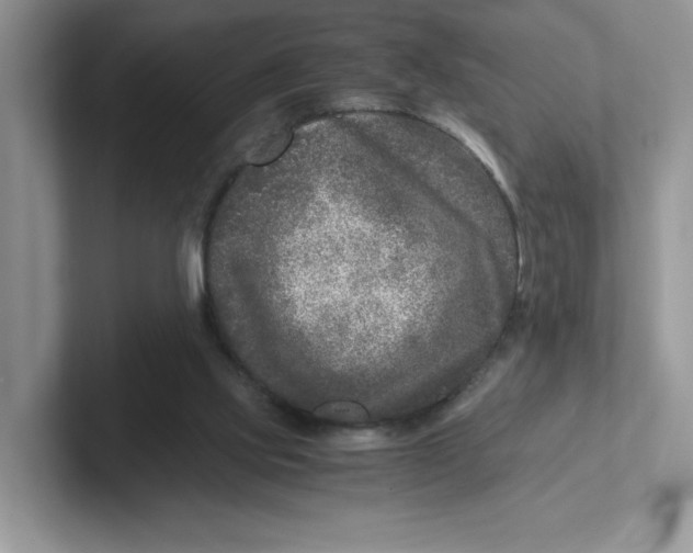 X0000101710061200807311500