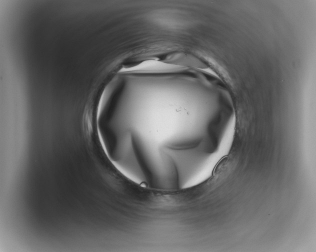 X0000101710062200807311500