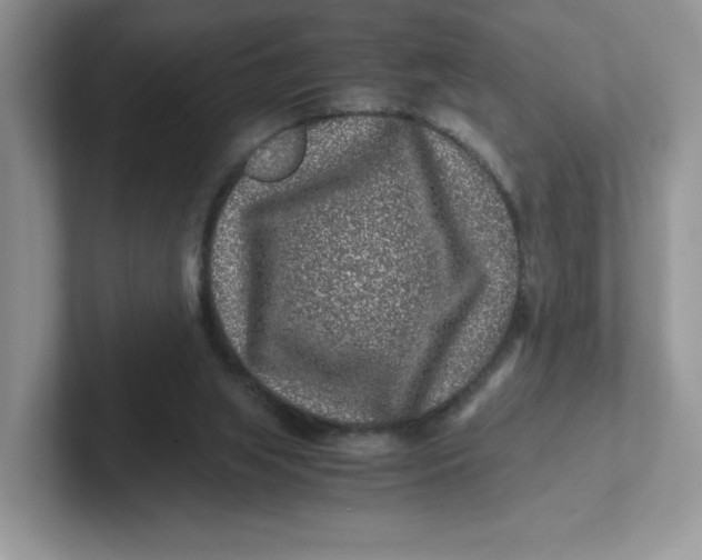 X0000101710063200807311500