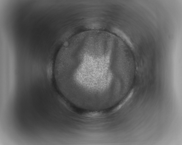 X0000101710065200807311500