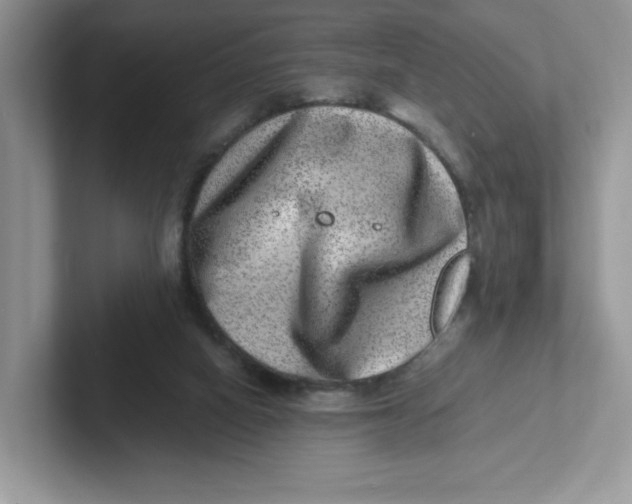 X0000101710066200807311500