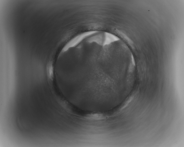 X0000101710067200807311500