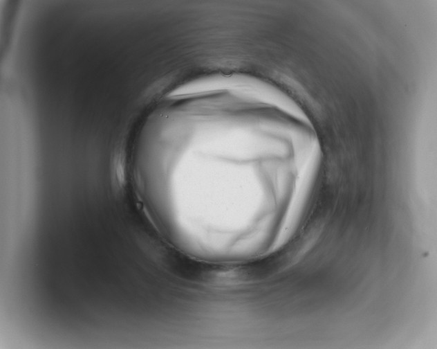 X0000101710068200807311500
