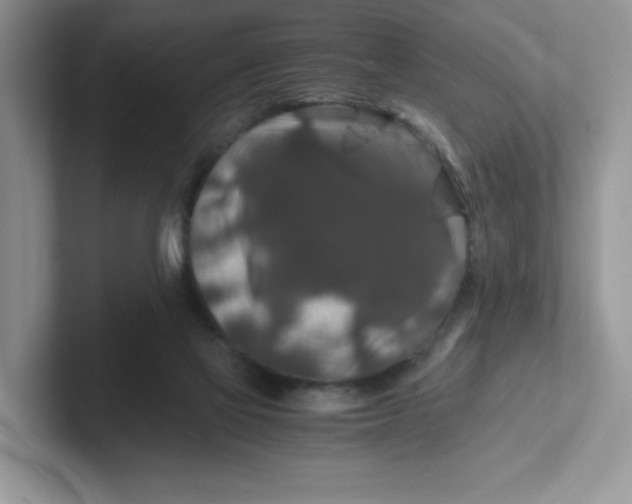 X0000101710069200807311500