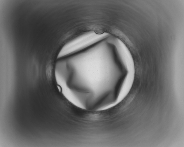 X0000101710071200807311500