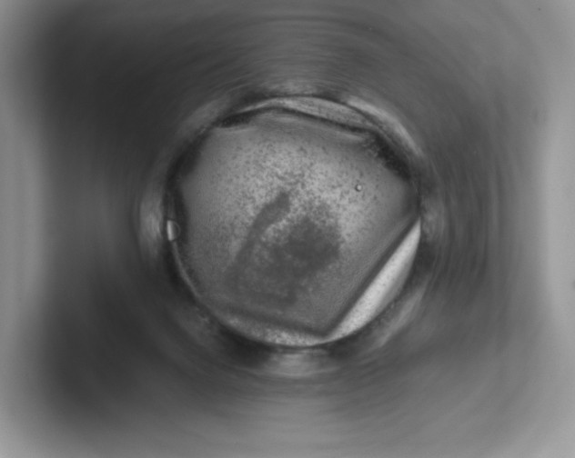 X0000101710072200807311500