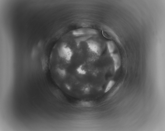 X0000101710073200807311500