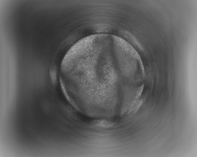 X0000101710074200807311500