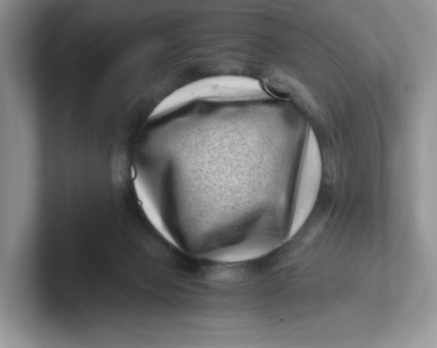 X0000101710077200807311500