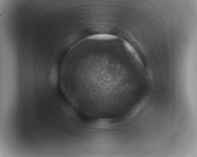X0000101710080200807311500