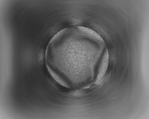 X0000101710082200807311500