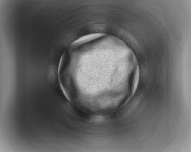 X0000101710083200807311500