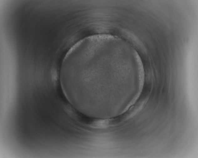 X0000101710084200807311500