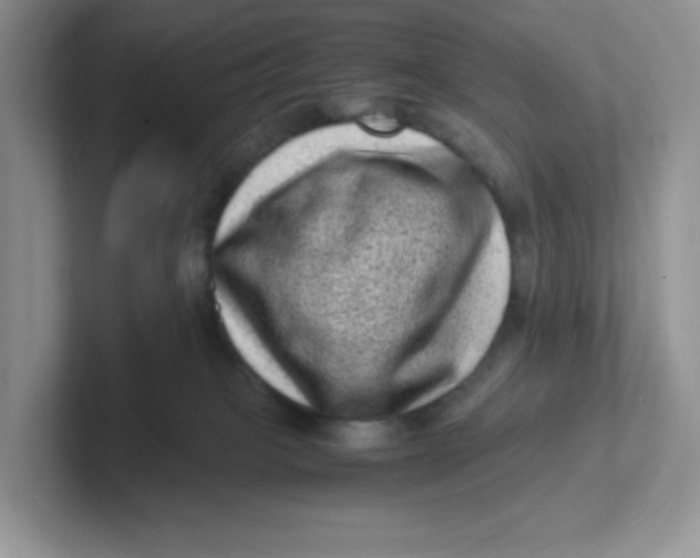 X0000101710085200807311500