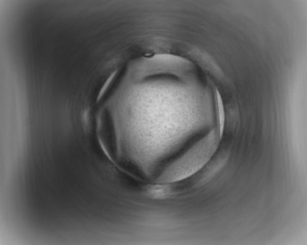 X0000101710088200807311500