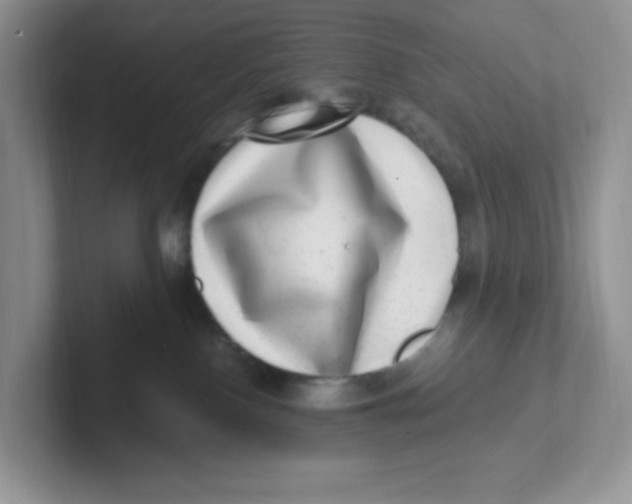 X0000101710090200807311500