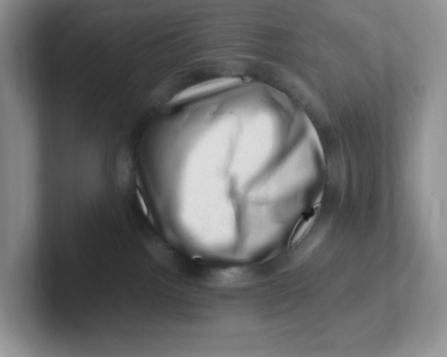 X0000101710092200807311500
