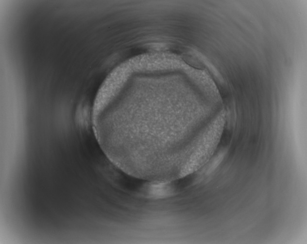 X0000101710093200807311500