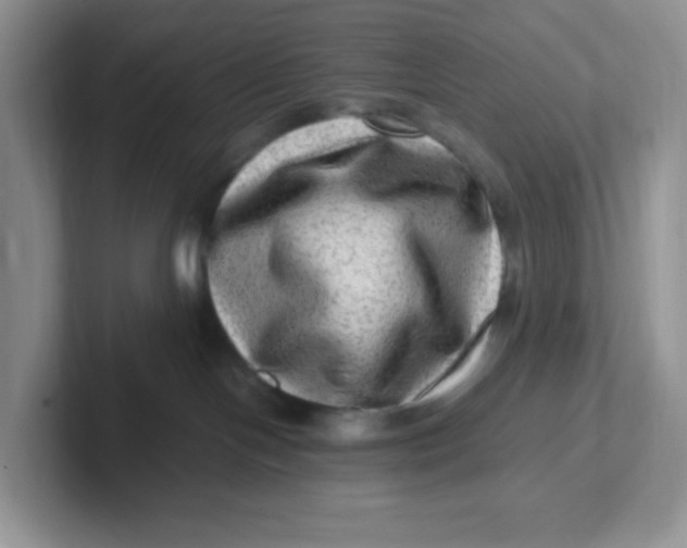 X0000101710094200807311500