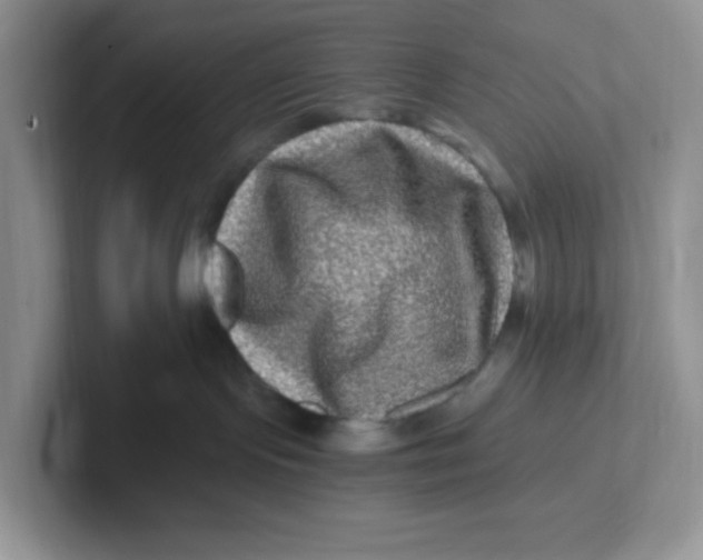 X0000101710095200807311500