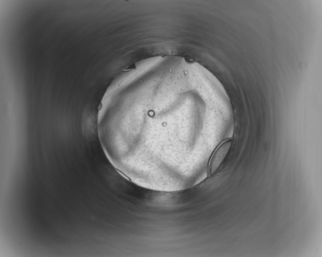 X0000101710096200807311500