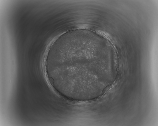 X0000101710097200807311500