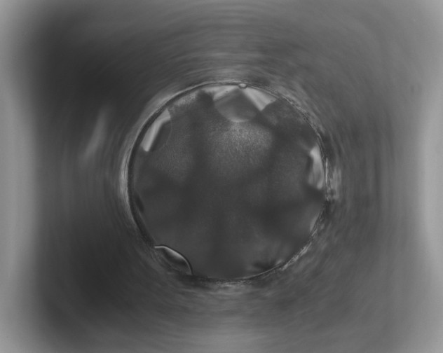 X0000101710099200807311500