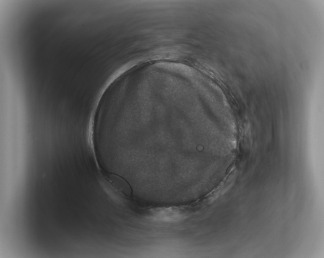 X0000101710100200807311500