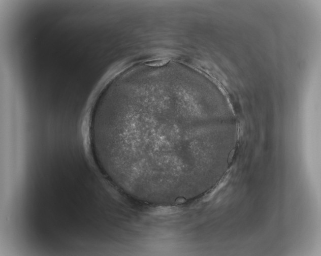 X0000101710101200807311500