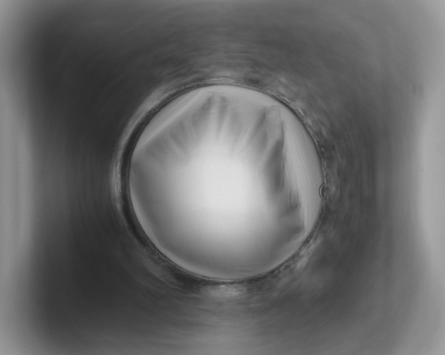 X0000101710102200807311500