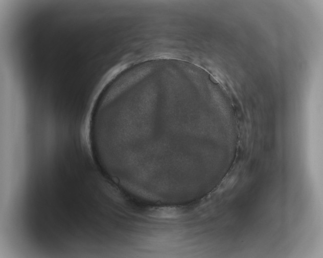 X0000101710104200807311500