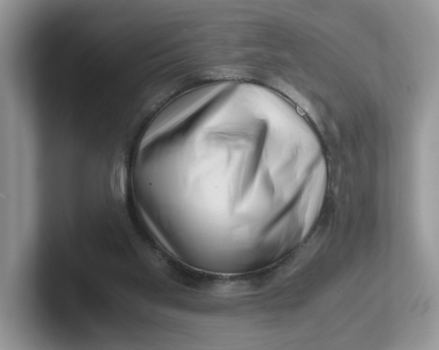 X0000101710109200807311500