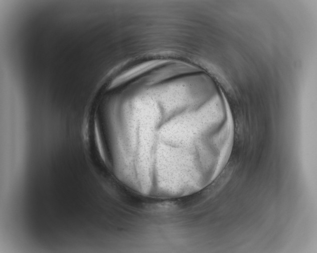 X0000101710112200807311500