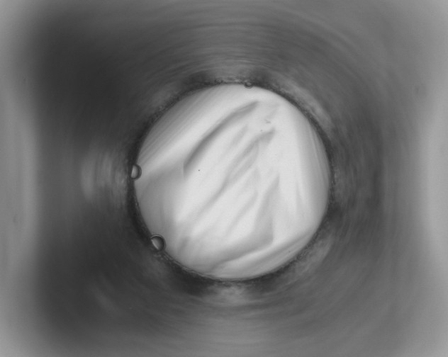 X0000101710113200807311500