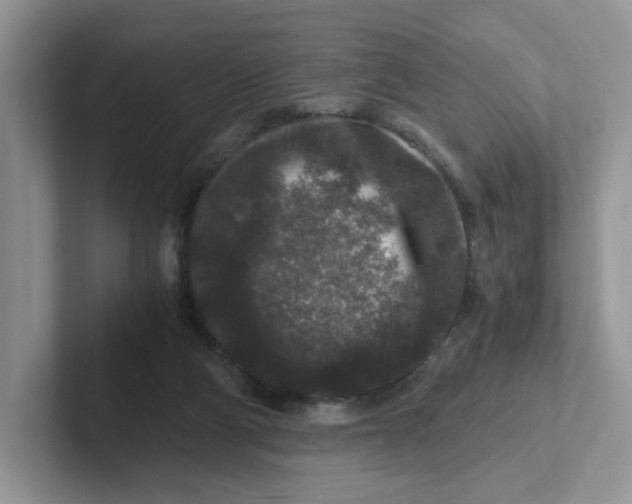 X0000101710114200807311500