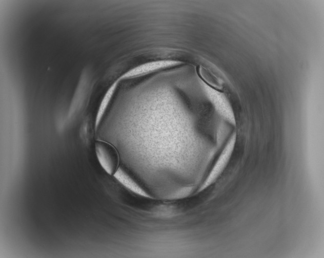 X0000101710119200807311459