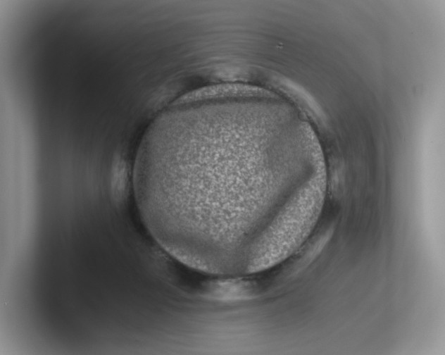X0000101710121200807311459