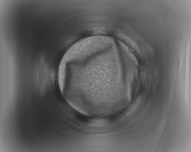 X0000101710123200807311459