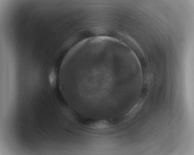 X0000101710124200807311459