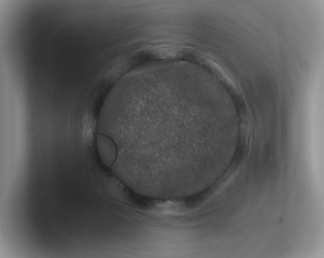 X0000101710125200807311459