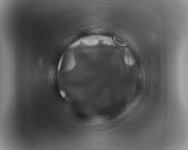 X0000101710127200807311459