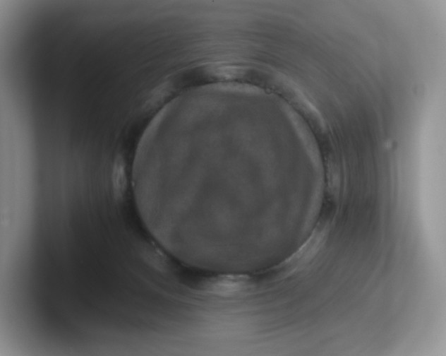 X0000101710128200807311459