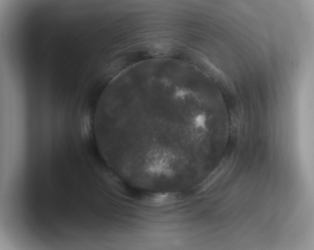 X0000101710130200807311459